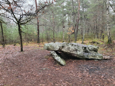 Dolmen de la Pierre Ardoue photo