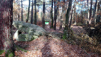 Dolmen de la Pierre Procureuse photo
