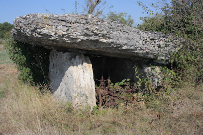 dolmen de Pajot photo