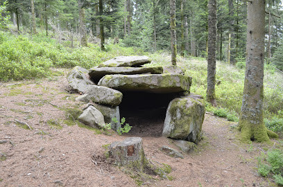dolmen de Purifaing photo