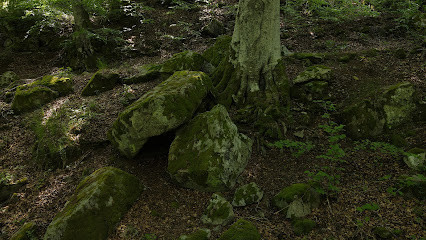 Dolmen de Vacheresse photo