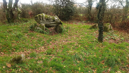 Dolmens de Kerguelen photo