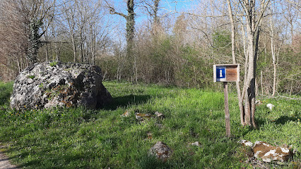 Dolmens de Magnez photo