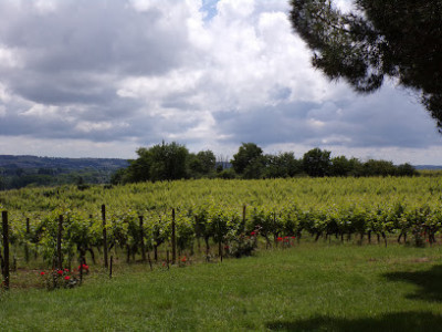Domaine aux Moines photo
