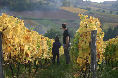 Domaine Cédric Vincent photo