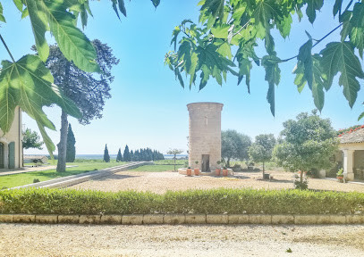 Domaine de Calet photo