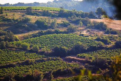 Domaine de Castelnau photo