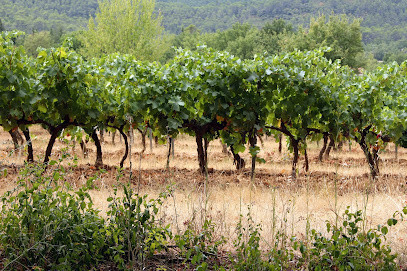 Domaine de la Batelière - Philippe Chabas photo