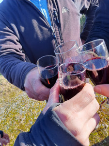 Domaine de la Gerfaudrie photo