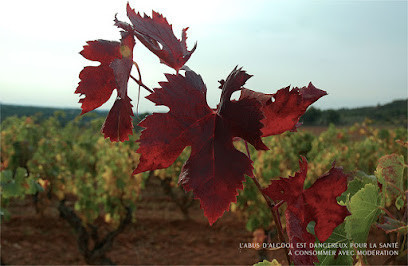 domaine de LANSAC photo