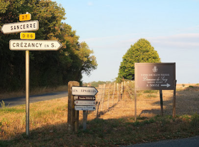 Domaine de Sacy - Karine Millet - Vins de Sancerre photo