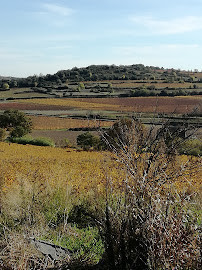 Domaine des Abournieres photo