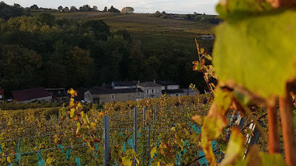 Domaine du Chay - SCEA Tourré Delmas photo