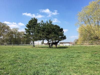 Domaine Equestre De Mirbel photo