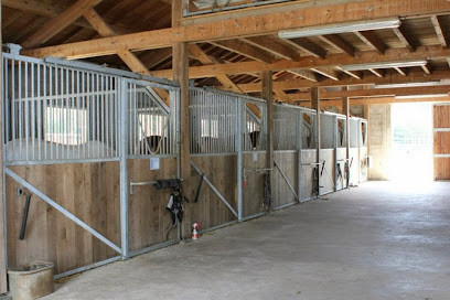 Domaine Equestre Land Rohan photo