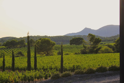 Domaine Gardies photo