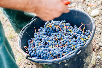 Domaine Girard photo