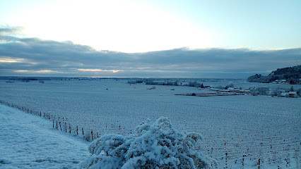Domaine Isabelle DOUDET photo