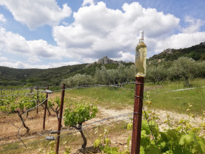 Domaine La Grand'Terre photo