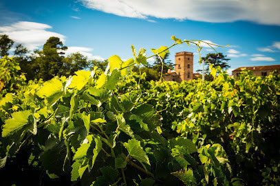 Domaine Lafage photo