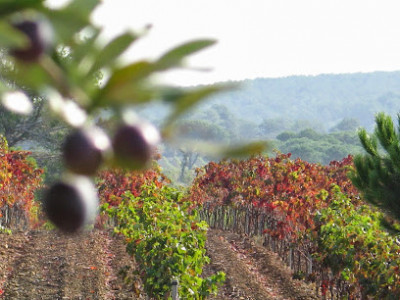 Domaine Les Bugadelles photo