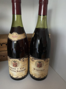 Domaine Michel Delorme photo