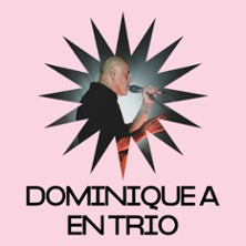 Dominique A - En Trio photo