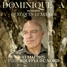 Dominique A - Quelques Lumières photo