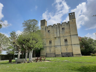 Donjon de Chambois.. photo