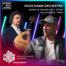 Dooz Kawa Orchestra photo