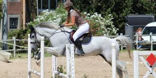 Earl les Ecuries D'aury photo
