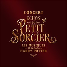 Échos du Petit Sorcier par Neko Light Orchestra - Tournée photo