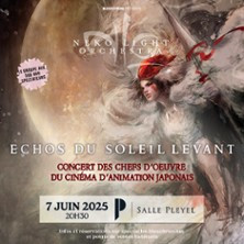 Échos Du Soleil Levant par Neko Light Orchestra photo