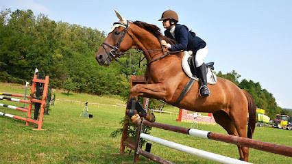 ECOLE D EQUITATION PRETY CUISERY photo
