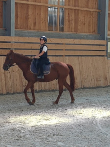 Ecole d'Equitation de Chesny photo