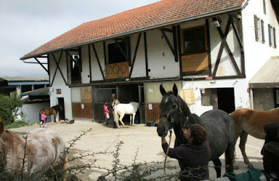 Ecole D'Equitation De Peillonnex photo