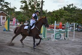Ecole Equitation Hubert Anselin photo