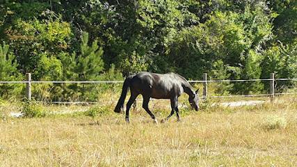 Ecuries Célia Biocalti photo