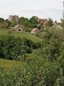 Ecuries de la Bohême Marie LESNARD photo