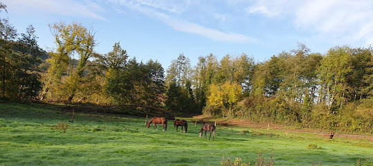 Ecuries de Montchâlons photo