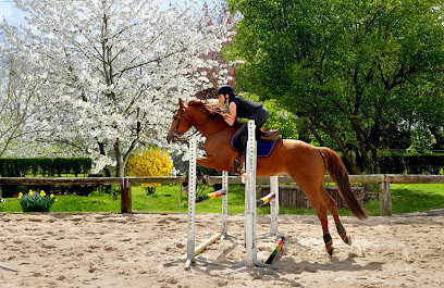 Écuries de Villecresnes Pension chevaux poneys photo