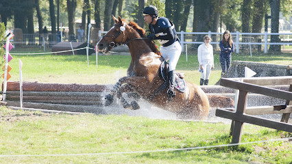 Ecuries du Perche - Frédéric Arnaud photo