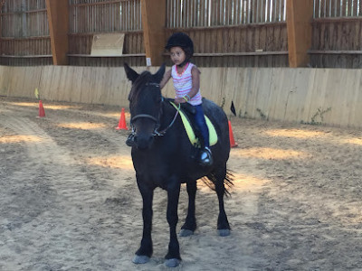 Ecuries Epona photo