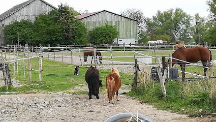 Ecuries Gaec Des Sources photo