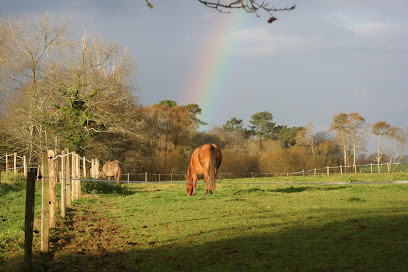 Écuries La ferme de Lanvern ( pension chevaux) photo