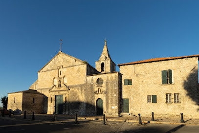 Église catholique Notre-Dame-de-la-Major d'Arles photo