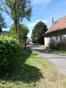 Église catholique Saint-Vaast à Gouy-en-Ternois photo