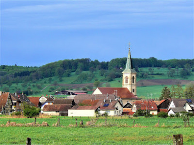 Eglise de Oltingue photo