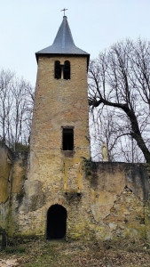 Église Saint-Nabor de Colombey (ruines) photo