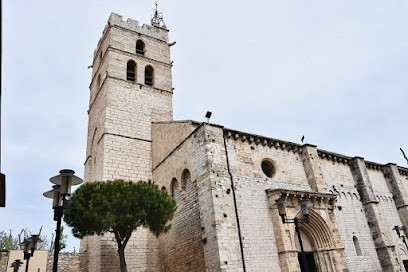 Église Saint-Paul de Frontignan photo